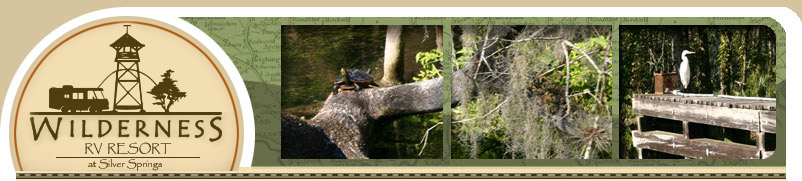 Wilderness RV Resorts At Silver Springs